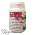 Mix Gastro