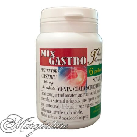 Mix Gastro